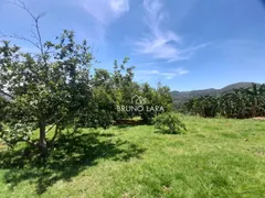 Fazenda / Sítio / Chácara com 4 Quartos à venda, 443m² no Nossa Senhora da Paz, São Joaquim de Bicas - Foto 66