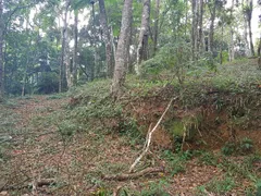 Terreno / Lote / Condomínio à venda, 5025m² no Cascata dos Amores, Teresópolis - Foto 20