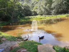 Casa com 3 Quartos à venda, 21490m² no Cururuquara, Santana de Parnaíba - Foto 2