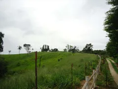 Fazenda / Sítio / Chácara com 7 Quartos à venda, 65328m² no Parque Industrial de Betim, Betim - Foto 5