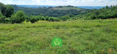 Fazenda / Sítio / Chácara à venda, 68000m² no Centro, Monte Belo do Sul - Foto 1