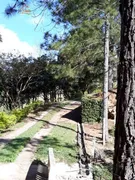 Fazenda / Sítio / Chácara com 5 Quartos à venda, 500m² no Vila Unidos, São José dos Campos - Foto 3