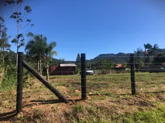 Fazenda / Sítio / Chácara com 1 Quarto à venda, 2000m² no Oliveiras, Tijucas - Foto 4