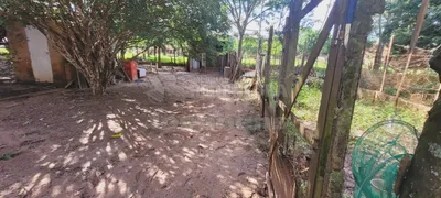 Fazenda / Sítio / Chácara com 2 Quartos à venda, 120m² no Chácara Recreio Terras de São José Zona Rural, São José do Rio Preto - Foto 28