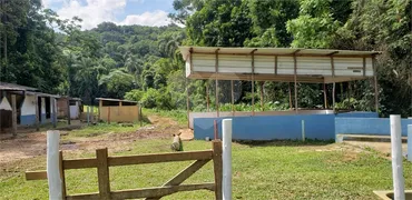 Fazenda / Sítio / Chácara com 4 Quartos à venda, 350m² no Serra da Cantareira, Mairiporã - Foto 15