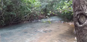 Fazenda / Sítio / Chácara à venda no Zona Rural, Rosário Oeste - Foto 16