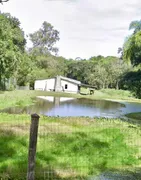 Fazenda / Sítio / Chácara com 3 Quartos à venda, 10000m² no Branquinha, Viamão - Foto 21