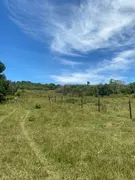 Fazenda / Sítio / Chácara com 3 Quartos à venda, 120249m² no Agrisa, Cabo Frio - Foto 16