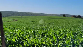 Fazenda / Sítio / Chácara com 3 Quartos à venda, 37m² no Centro, Avaí - Foto 10