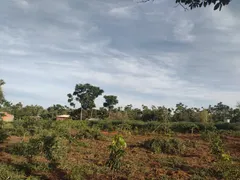 Fazenda / Sítio / Chácara com 3 Quartos à venda, 5000m² no Area Rural do Paranoa, Brasília - Foto 12