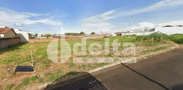 Terreno / Lote / Condomínio à venda, 300m² no Taiaman, Uberlândia - Foto 4