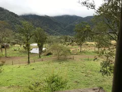 Fazenda / Sítio / Chácara à venda, 1500m² no Santa Luzia, Jaraguá do Sul - Foto 8
