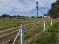 Fazenda / Sítio / Chácara à venda, 314600m² no Rural, Tietê - Foto 12