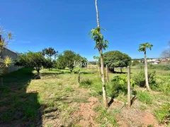 Fazenda / Sítio / Chácara com 3 Quartos para alugar, 200m² no Parque das Esmeraldas II, Marília - Foto 16