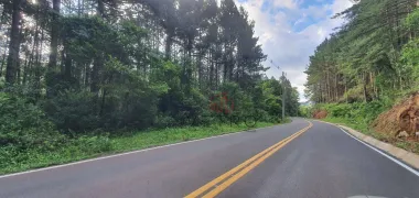 Fazenda / Sítio / Chácara à venda, 88700m² no Mato Queimado, Gramado - Foto 5