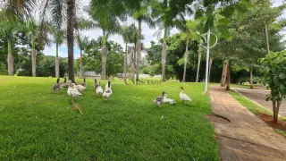 Casa de Condomínio com 3 Quartos para alugar, 450m² no Recanto do Salto, Londrina - Foto 43