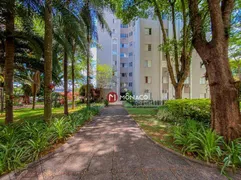 Apartamento com 3 Quartos para alugar, 66m² no Claudia, Londrina - Foto 34