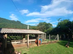Fazenda / Sítio / Chácara com 1 Quarto à venda, 150m² no , Canela - Foto 29