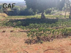 Fazenda / Sítio / Chácara com 4 Quartos à venda, 400m² no Zona Rural, Espírito Santo do Pinhal - Foto 3