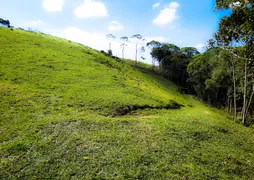 Fazenda / Sítio / Chácara à venda, 55544m² no Cedro Alto, Brusque - Foto 6