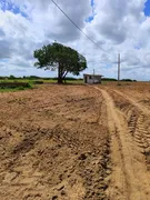Fazenda / Sítio / Chácara com 3 Quartos à venda, 13500m² no Zona Rural, Monte Alegre - Foto 17