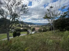 Terreno / Lote / Condomínio à venda, 13000m² no Vale dos Vinhedos, Bento Gonçalves - Foto 45