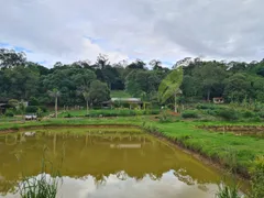 Fazenda / Sítio / Chácara com 2 Quartos à venda, 20000m² no Centro, Piracaia - Foto 28