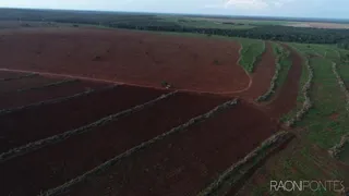 Fazenda / Sítio / Chácara com 30 Quartos à venda, 10260000m² no Zona Rural, São Valério da Natividade - Foto 4