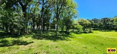 Fazenda / Sítio / Chácara à venda, 84000m² no Vila Germania, Nova Petrópolis - Foto 53