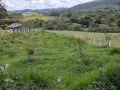Fazenda / Sítio / Chácara com 2 Quartos à venda, 21843m² no Joaquim Egídio, Campinas - Foto 43