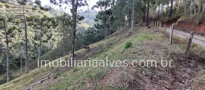 Terreno / Lote / Condomínio à venda, 37000m² no Zona Rural, Virgínia - Foto 3