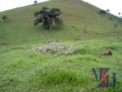 Fazenda / Sítio / Chácara à venda, 242000m² no Taboao, Taubaté - Foto 3