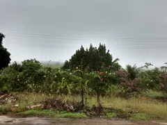 Fazenda / Sítio / Chácara com 2 Quartos à venda, 2500m² no Area Rural de Vitoria do Santo Antao, Vitória de Santo Antão - Foto 45