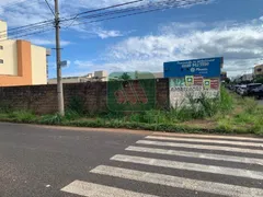 Terreno / Lote / Condomínio com 1 Quarto para alugar, 1600m² no Brasil, Uberlândia - Foto 3