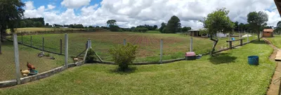 Fazenda / Sítio / Chácara com 2 Quartos à venda, 23000m² no Faxina, São José dos Pinhais - Foto 13