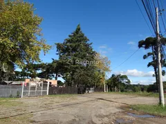 Terreno / Lote / Condomínio à venda, 2148m² no Saiqui, Canela - Foto 1