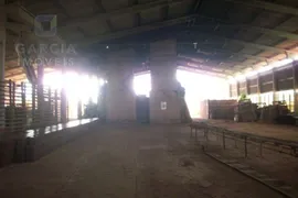 Terreno / Lote / Condomínio à venda, 250000m² no Tijuca, Alvorada - Foto 13