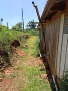 Fazenda / Sítio / Chácara com 3 Quartos à venda, 3000m² no Rio do Salto, Cascavel - Foto 12