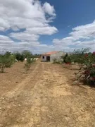 Fazenda / Sítio / Chácara com 2 Quartos à venda, 8000m² no CIA, Simões Filho - Foto 2