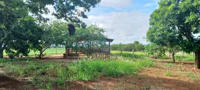 Fazenda / Sítio / Chácara com 2 Quartos à venda, 420000m² no Paranoá, Brasília - Foto 24