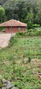 Fazenda / Sítio / Chácara com 3 Quartos à venda, 17000m² no Campestre dos Paulas, Mandirituba - Foto 33