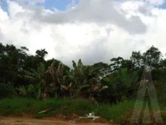 Terreno / Lote / Condomínio à venda no Itinga, Joinville - Foto 2