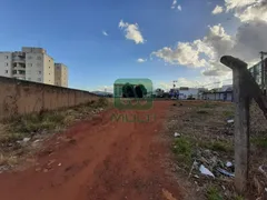 Terreno / Lote / Condomínio com 1 Quarto para alugar, 3956m² no Custódio Pereira, Uberlândia - Foto 9