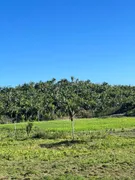 Fazenda / Sítio / Chácara à venda no , Itapecuru Mirim - Foto 5