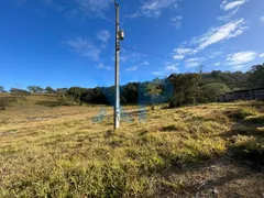 Fazenda / Sítio / Chácara com 3 Quartos à venda, 140m² no Zona Rural, São Sebastião do Oeste - Foto 9