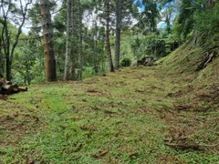 Terreno / Lote / Condomínio à venda, 1800m² no Mury, Nova Friburgo - Foto 1