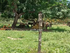 Fazenda / Sítio / Chácara à venda, 3500000m² no Zona Rural, Nossa Senhora do Livramento - Foto 30