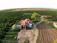 Fazenda / Sítio / Chácara com 3 Quartos à venda, 57000m² no Centro, Crisópolis - Foto 7