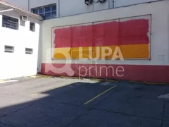 Terreno / Lote Comercial para alugar, 350m² no Tucuruvi, São Paulo - Foto 6