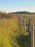 Fazenda / Sítio / Chácara à venda, 1210000m² no Zona Rural, Vianópolis - Foto 13